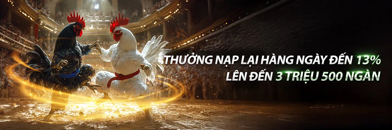 Cá cược bóng chuyền