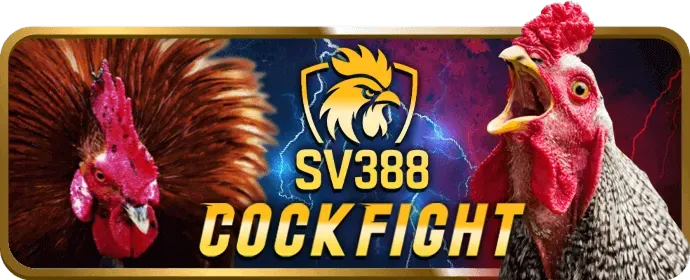 Hỗ trợ khách hàng shbet5 casino